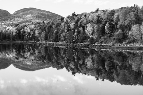 In The Mirror BW - NHP191bw